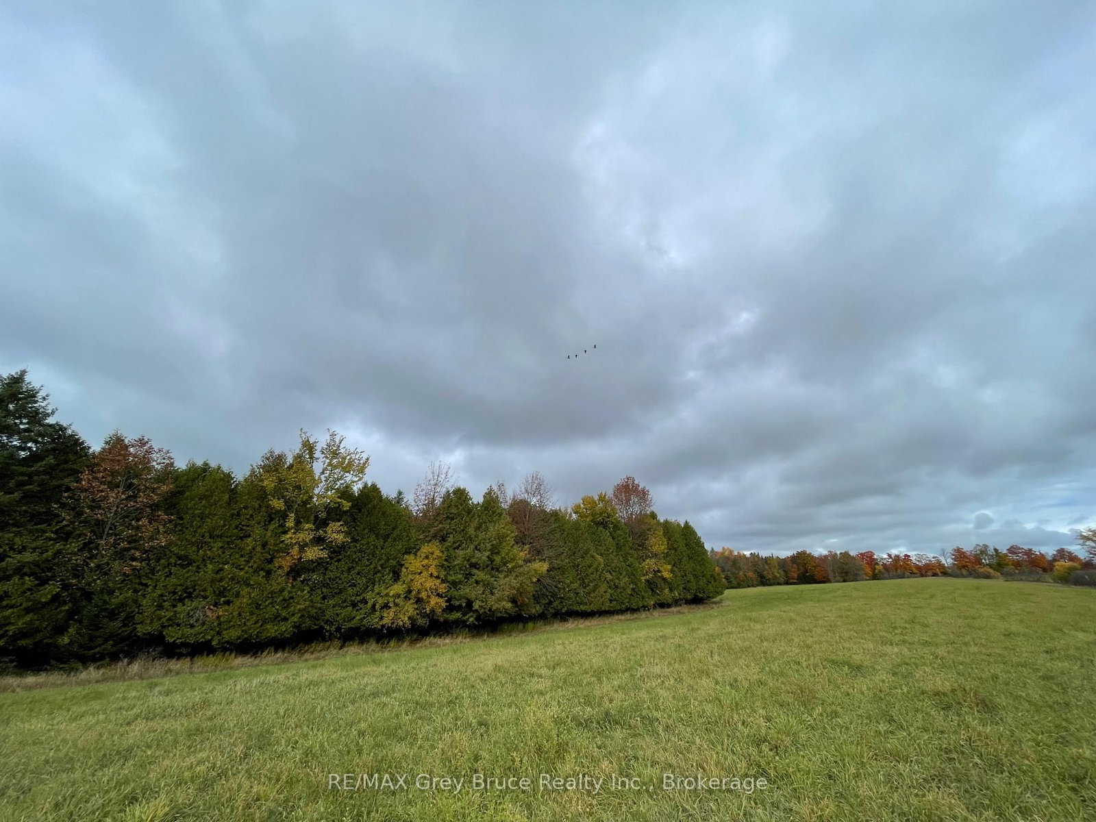 Listing Image 33