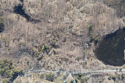 Lot 6 Echo Lake Rd, Kaladar - Frontenac Centre image-0-4