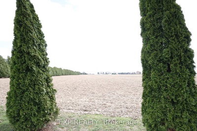 29133 Centre Side Rd, Chatham-Kent - Dresden image-0-3