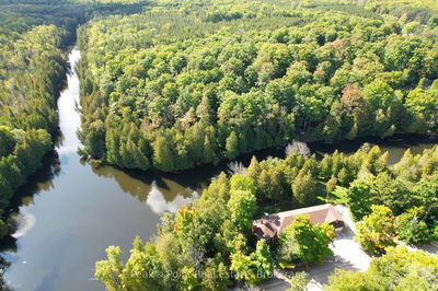 38 Rankin Bridge Rd, South Bruce Peninsula - South Bruce Peninsula image-0-4