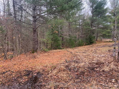 00 Bordenwood, Arden - Frontenac Centre image-0-1