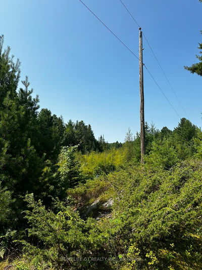 00 Bordenwood, Arden - Frontenac Centre image-0-4