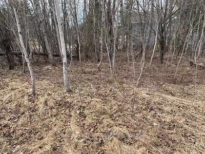  SOUTH SPARKS St, Magnetawan - Magnetawan image-0-3