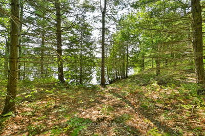 1083 Lindey Lane, Cloyne - Frontenac North image-0-1