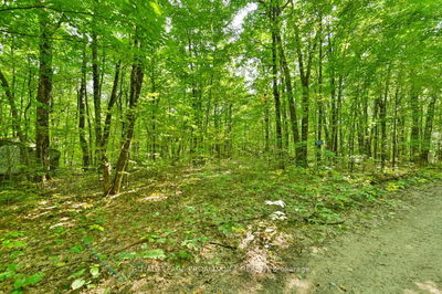 1083 Lindey Lane, Cloyne - Frontenac North image-0-2