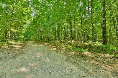 1083 Lindey Lane, Cloyne - Frontenac North image-0-3