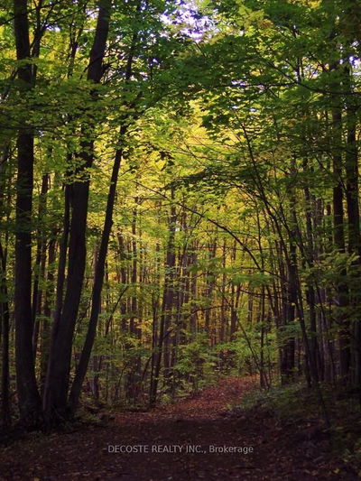 0000 COUNTY 43 Rd, North Glengarry - North Glengarry (Kenyon) Twp image-0-4