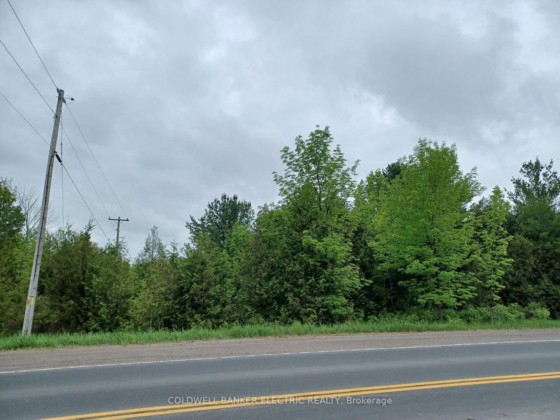 000 County Rd 6, Douro-Dummer - Douro-Dummer image-0-0
