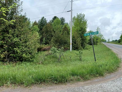 000 County Rd 6, Douro-Dummer - Douro-Dummer image-0-2
