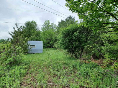 000 County Rd 6, Douro-Dummer - Douro-Dummer image-0-3