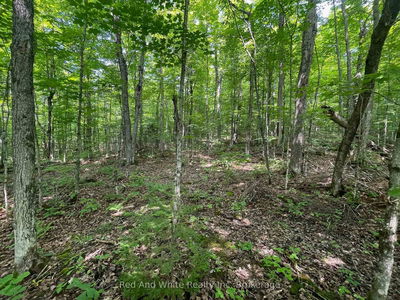 285 Chapman Dr, Magnetawan - Magnetawan