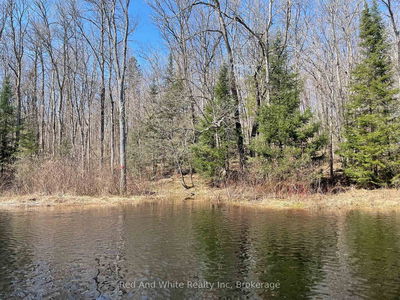 136 B Maple Island Rd, Whitestone - Ferrie image-0-3