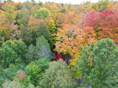 265 MEADOWLAND Rd, Parry Sound Remote Area - Arnstein image-0-2