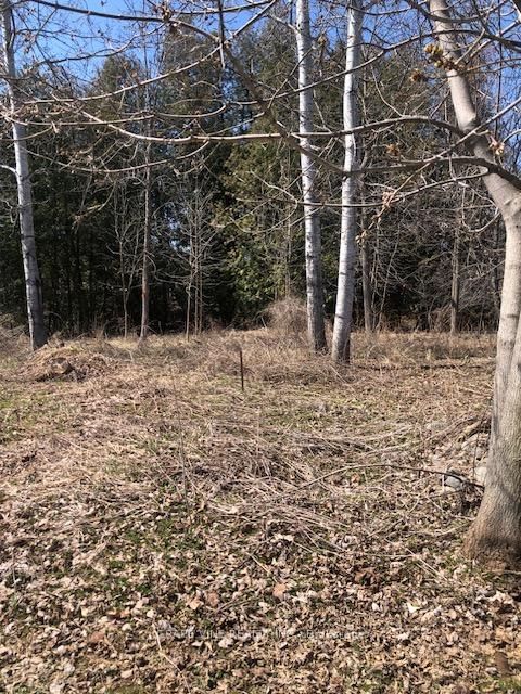 35A Cloverloft Court