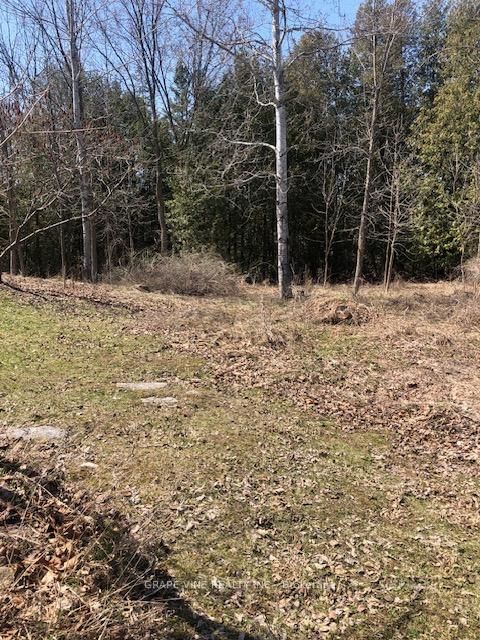 35A Cloverloft Court