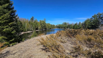 0000 Calabogie Road — photo 6