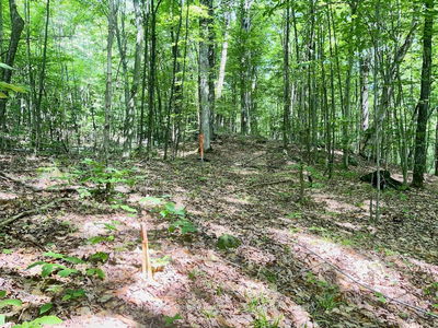 PTLT 14 SILVERWOOD Rd, Minden Hills - Snowdon image-0-2