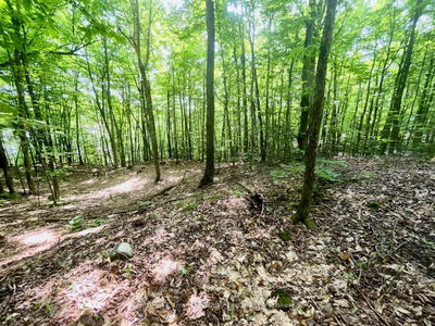 PTLT 14 SILVERWOOD Rd, Minden Hills - Snowdon image-0-4