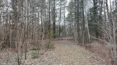 26 Magnet Rd, Magnetawan - Ahmic Harbour image-0-2