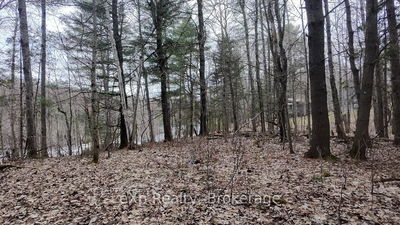 26 Magnet Rd, Magnetawan - Ahmic Harbour image-0-3