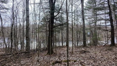 26 Magnet Rd, Magnetawan - Ahmic Harbour image-0-4