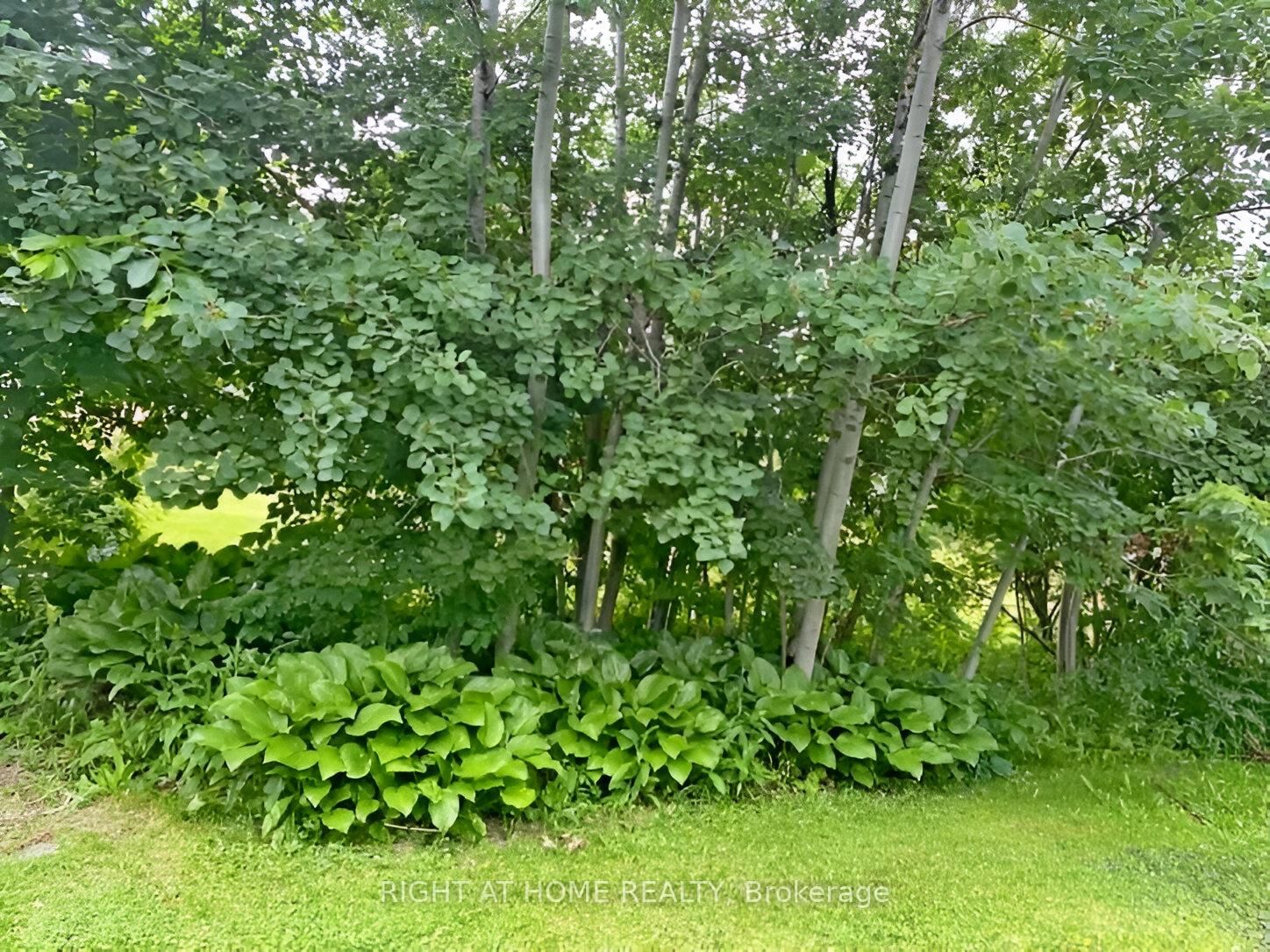 Listing Image 28