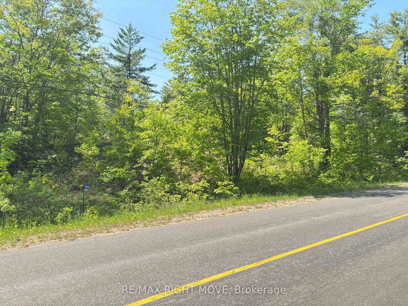 2159 Southwood Rd, Gravenhurst, P0E 1G0 | Image 2