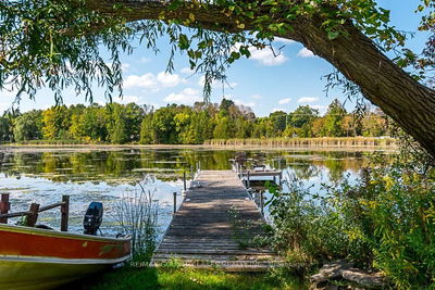 14 Hargrave Rd, Kawartha Lakes - Eldon image-0-1