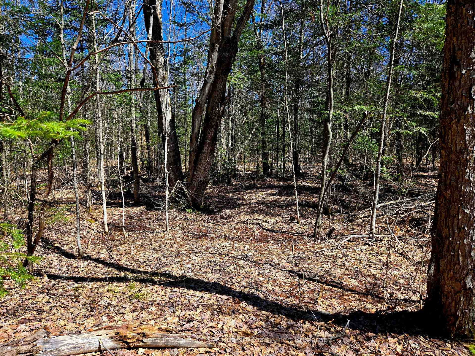 Vacant Land sold at 3267 Highway 534, Nipissing, Ontario, P0H 1W0 - Nipissing - MLS: X12107393