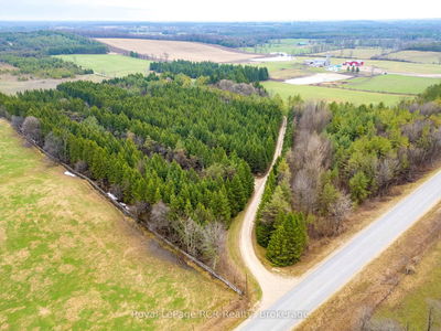 635317 EUPHRASIA-HOLLAND Townline, Grey Highlands - Grey Highlands image-0-1