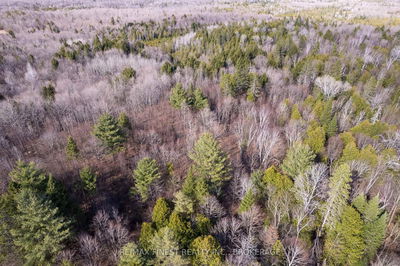1965 North Rd, Plevna - Frontenac North