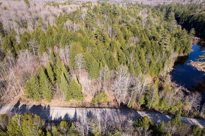 1965 North Rd, Plevna - Frontenac North image-0-2