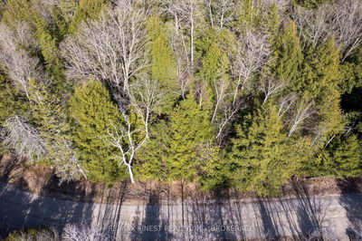 1965 North Rd, Plevna - Frontenac North image-0-3