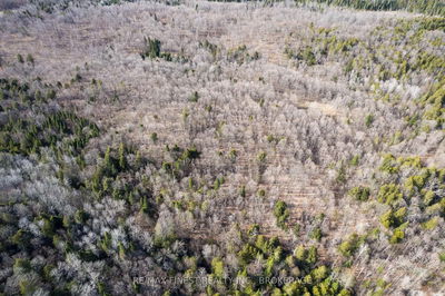 1965 North Rd, Plevna - Frontenac North image-0-4