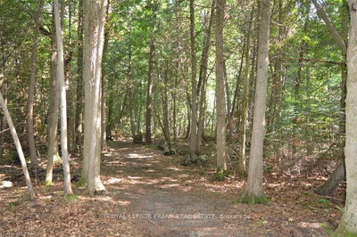  Hall Dr, Trent Lakes - Trent Lakes image-0-1