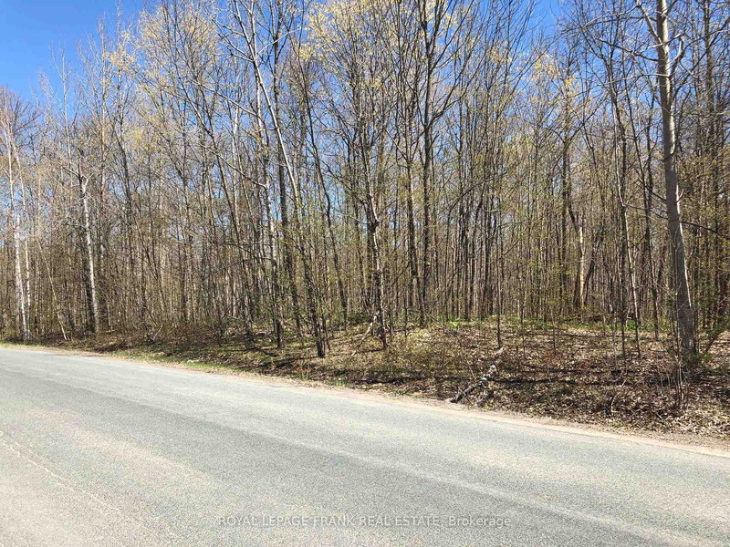 0 Hall Dr, Trent Lakes, K0L 1J0 | Image 3
