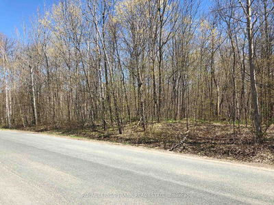  Hall Dr, Trent Lakes - Trent Lakes image-0-2