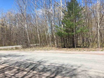 Hall Dr, Trent Lakes - Trent Lakes image-0-3