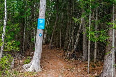  Hall Dr, Trent Lakes - Trent Lakes image-0-4