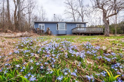 65 Lawrence Rd, South Bruce Peninsula - South Bruce Peninsula image-0-2
