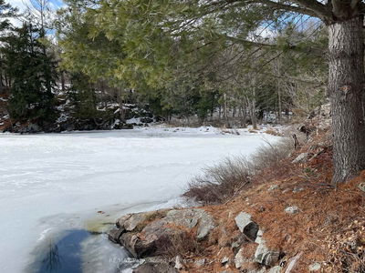 292B BIRCH POINT ROAD, Parry Sound Remote Area - Arnstein image-0-4
