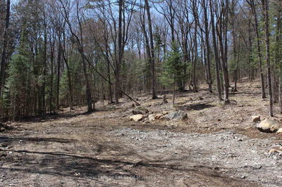 0000 South Ril Lake Rd, Lake of Bays - Ridout