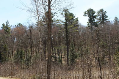 0000 South Ril Lake Rd, Lake of Bays - Ridout image-0-1