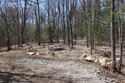 0000 South Ril Lake Rd, Lake of Bays - Ridout image-0-4