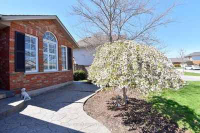 5134 Meadowood Lane, Lincoln - Lincoln Lake image-0-4