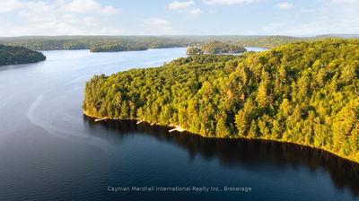 890 Big Island, Huntsville - Stisted image-0-3