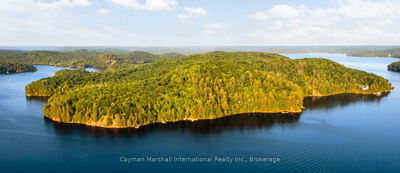 890 Big Island, Huntsville - Stisted image-0-4