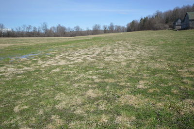 Unit Lot 2 — 00 CASTLEFORD Rd, Renfrew - Horton Twp