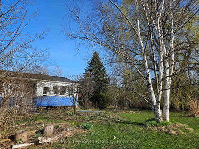 127 Kirk St, Georgian Bluffs - Georgian Bluffs image-0-2