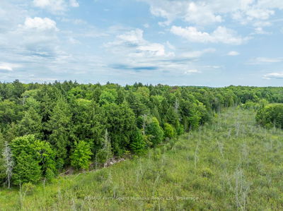 131 MOONWING Rd, Magnetawan - Ahmic Harbour image-0-4